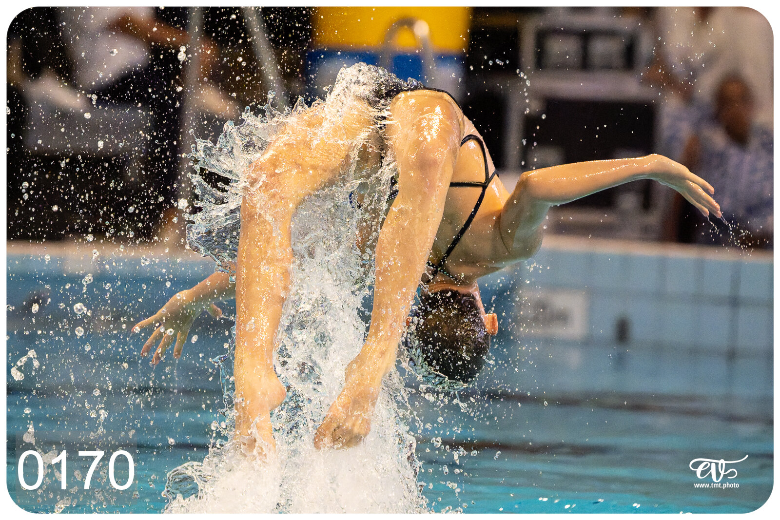 CHAMPIONNAT DE FRANCE DE NATATiON ARTISTIQUE N1 & ELITE 2026